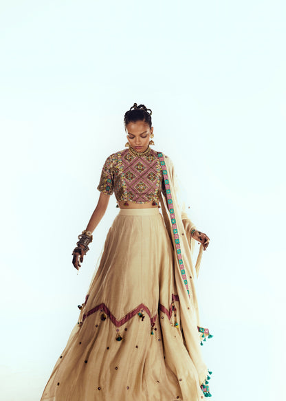 Lehenga Choli Set